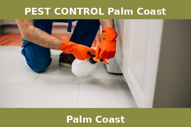PEST CONTROL Palm Coast